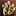 topls.png